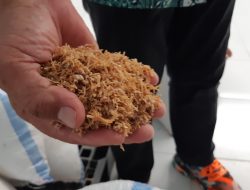 Sultra Dorong Petani Tingkatkan Kualitas Produksi Rumput Laut