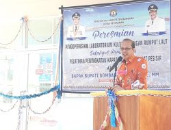 Bombana, Kabupaten Pertama di Indonesia Miliki Laboratorium Kultur Jaringan Rumput Laut