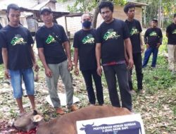 Peduli Masyarakat, ASR dan Gerindra Buton Selatan Berbagi Daging Kurban