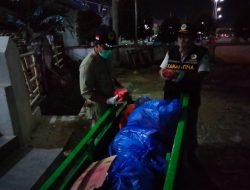 Karantina Pertanian Gagalkan Penyelundupan Daging Rusa Tanpa Dokumen di Baubau