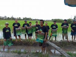 ASR Konawe Sambangi Petani di Sawah Sosialisasikan Bacagub Andi Sumangerukka