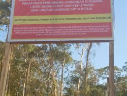 Gakum KLHK Segel Lokasi Tambang di Blok Mandiodo Konawe Utara