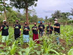 Di Muna, Relawan ASR Sambangi Para Petani Jagung
