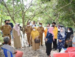 Ketua PKK Kendari Serahkan bantuan Warga Korban Kebakaran di Padaleu