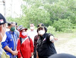 Jelang HPN 2022, Menteri LHK Siti Nurbaya Tinjau Lokasi Penaman 20.000 Mangrove di Teluk Kendari