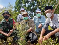 PT Vale Andil dalam Aksi Sehat dan Hijau