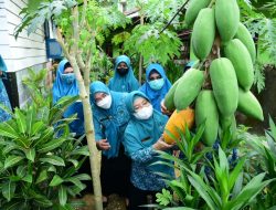 Penilaian Lomba Kelurahan Tingkat Kendari Berakhir di Kassilampe