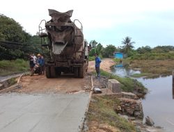 Dukung Pertumbuhan Ekonomi di Desa Tani Indah, VDNI Bangun Jalan Beton 2 KM