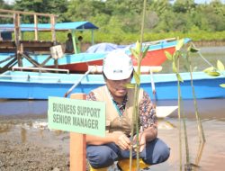 Dukung Mitigasi Perubahah Iklim, ANTAM UPBN Kolaka Tanam 794.500 Mangrove