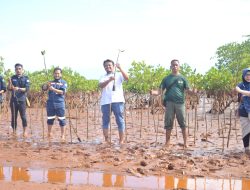 ANTAM dan KAPAL Kolaka Gelar Penanaman Mangrove dan Transplantasi Karang di Desa Hakatutobu