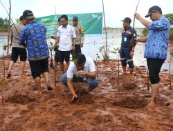 Pemda Kolaka Dukung Program Penanaman Mangrove ANTAM di Pomalaa