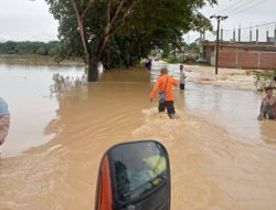 Ribuan Warga Aceh Timur Mengungsi Akibat Banjir