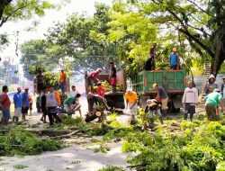 Sebulan Lebih, Tim Satgas Penataan Kota Kendari Masih Lakukan Penebangan Pohon