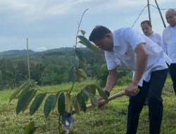 KSK Moeldoko: Durian Indonesia Bisa Jadi Komoditas Unggul di Pasar Dunia