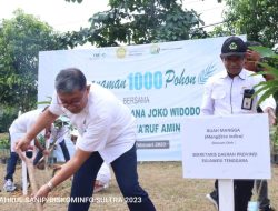 Pemprov Sultra Ikuti Penanaman 1000 Pohon Secara Virtual