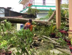 Pasca Diterpa Cuaca Ekstrem, BPBD Kota Kendari Bergerak Cepat Benahi Kota