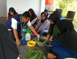 Dukung Pertanian Ramah Lingkungan, Pemkot Kendari Dorong Petani Gunakan Pupuk Organik Biosaka