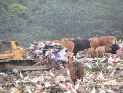 Produksi Sampah di Kendari Capai 270 Ton Perhari