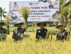 Panen Padi Sawa di Amohalo, Pj Wali Kota Kendari Siap Carikan Solusi yang Dikeluhkan Petani