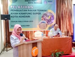 Kembangkan Kapasitas Para Peternak, Distan Kendari Gelar Pelatihan Pembuatan Pakan Ternak