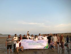 BPJS Ketenagakerjaan Konsel Gelar Employee Volunteering Penanaman Mangrove