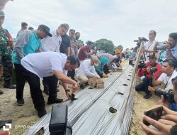 Pj Gubernur Sultra Hadiri Penanaman Holtikultura di Konawe dan Mendapatkan Rekor Muri Indonesia