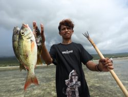 Kegiatan Tombak Ikan, Daya Tarik Wisata Desa Wasuemba