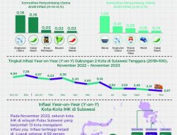 Inflasi Sultra Turun Jadi 2,87%, Pj Gubernur : Kabar Baik Di Hari Jumat Penuh Berkah