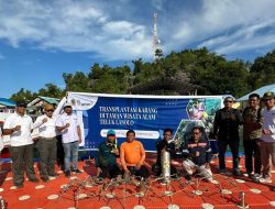 PT. Antam UBPN Konut dan BKSDA Sultra Bekerja Sama Dalam Program Transplantasi Terumbu Karang di TWA Tekuk Pasolo