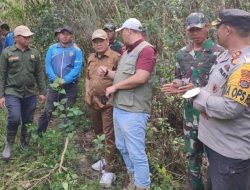 Pemda Konawe Kaji Pembangunan Akses Penghubung Latoma-Routa