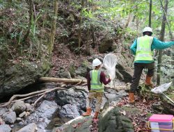 Biodiversitas dan Ekologi di Pulau Wawonii Terjaga, Sektor Swasta Ambil Peran Penting