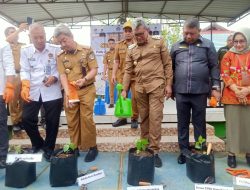 Pj Wali Kota Kendari Launching Penanaman Cabai dan Tomat di SMPN 2 Kendari