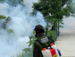 Cegah Penyebaran Penyakit DBD, FPRB Sultra Lakukan Fogging di Kelurahan Lalolara