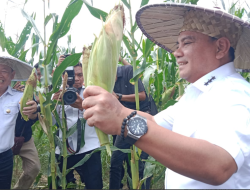 Pemprov-Pemda Konawe Perkuat Kolaborasi Tekan Inflasi melalui Gerakan Ketahanan Pangan Siswa