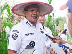 Pemkot Kendari Dorong Warga Olah Lahan Tidur Jadi Pertanian Produktif