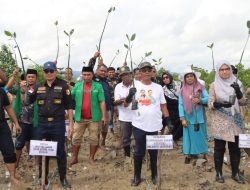 Kemenag Sultra Bersama GP Ansor Bersinergi Tanam 1.000 Bibit Mangrove di Teluk Kendari