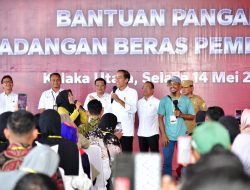 Presiden Jokowi Serahkan Bantuan Pangan bagi Masyarakat di Kolaka Utara