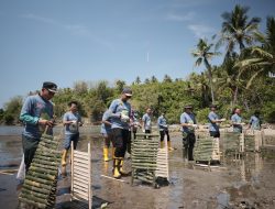 Peringati Hari Menanam Pohon Indonesia 2024, Pertamina Patra Niaga Sulawei Gelar Penanaman Mangrove dan Coastal Cleanup di Pantai Desa Tongo