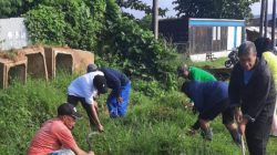 Kelurahan Mataiwoi Kendari Intens Lakukan Pembersihan Lingkungan