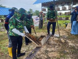 Dinas Pertanian Kota Kendari Lakukan Panen Perdana Madu Lebah Trigona