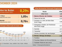 Rilis BPS, Inflasi Sultra Stabil dan Terjaga