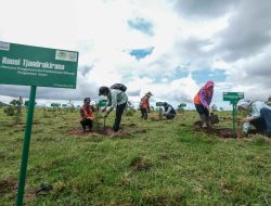 Hadirkan Masa Depan Berkelanjutan, PT Vale Dukung Rehabilitasi DAS di Sulawesi Selatan