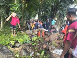 ASN, Warga Binaan Lapas Kendari dan Masyarakat Antusias Lakukan Kerja Bakti di Hutan Kota Baruga