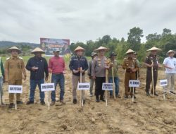 Pemkot Kendari dan Polresta Ikut Sukseskan Penanaman Jagung Serentak 1 Juta Hektare