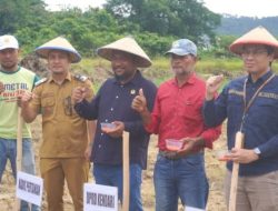 Ketua DPRD Kota Kendari Ikuti Penanaman Jagung Serentak 1 Juta Hektare