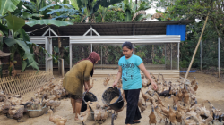 Pertamina Patra Niaga Sulawesi Kembangkan Budidaya Bebek Petelur di Maros